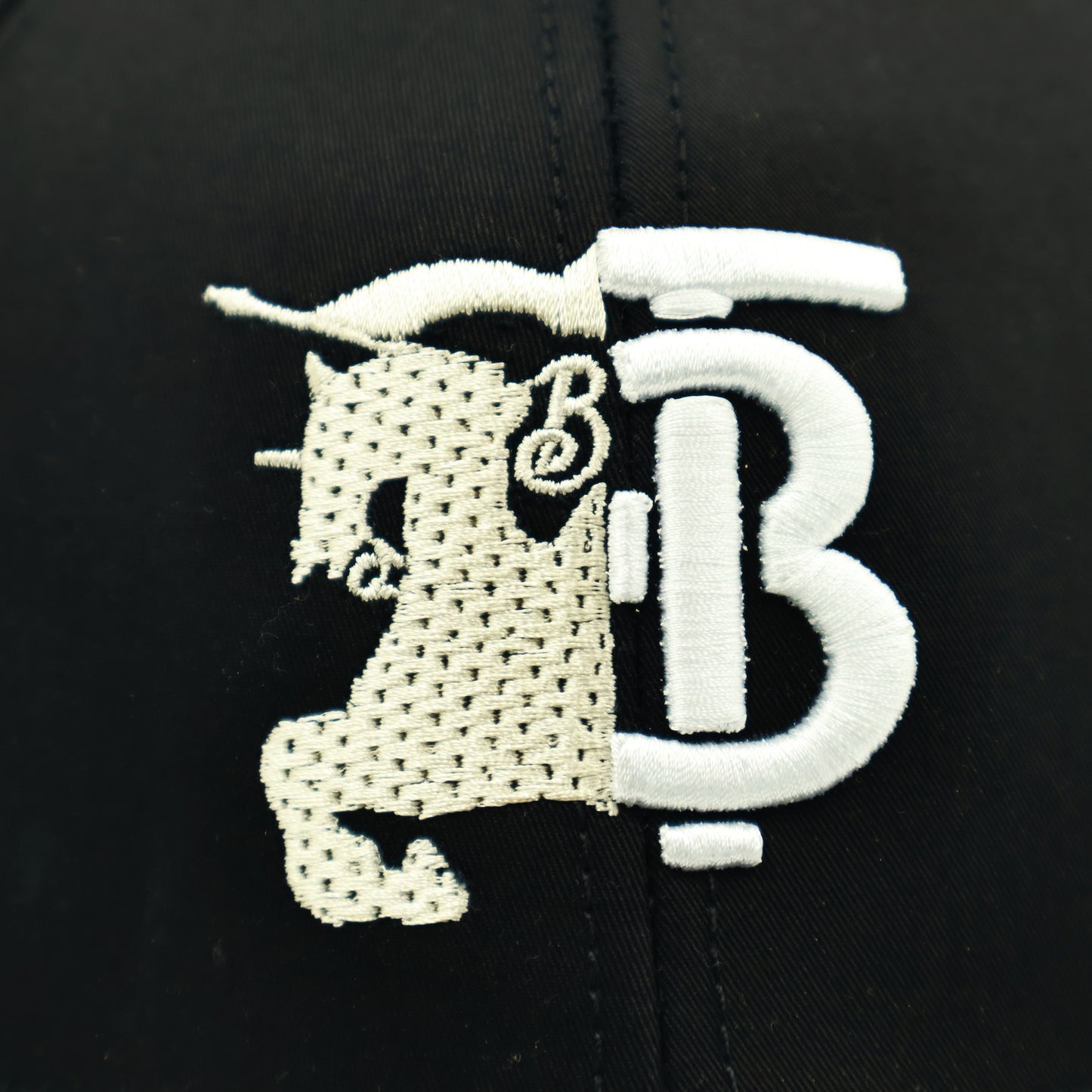 Burberry Black-Beige Cap