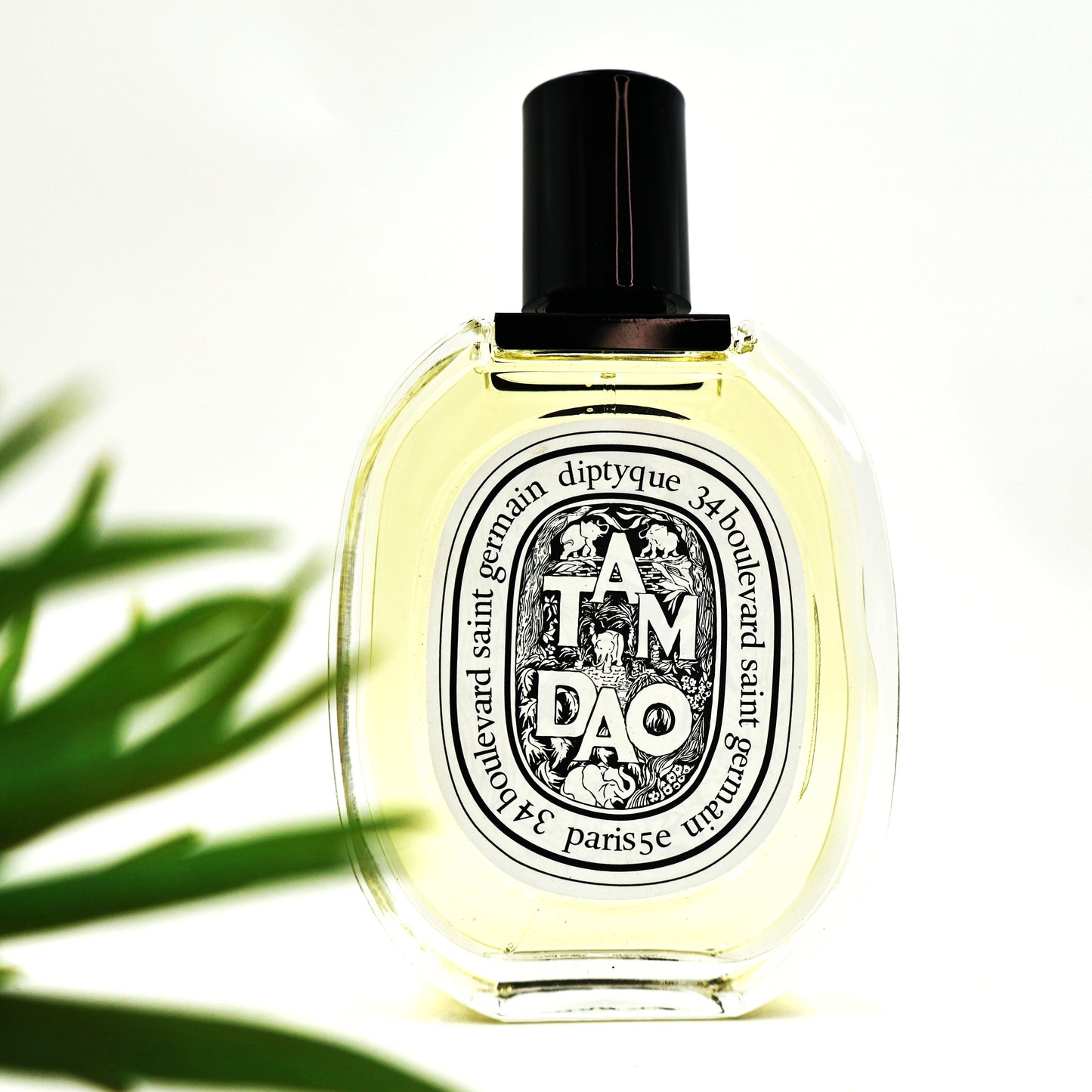 Diptyque - Tam Dao 100ml Eau de Toilette