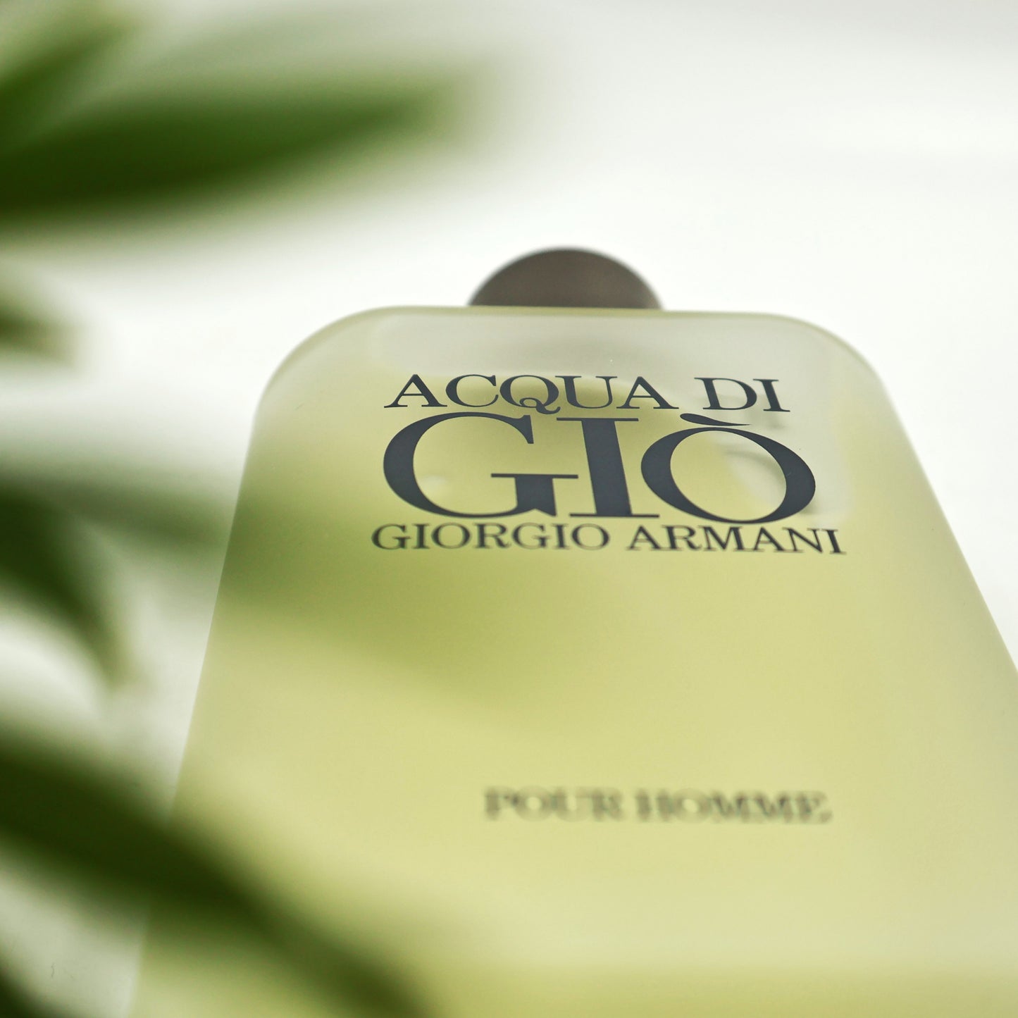Giorgio Armani- Acqua di Gio 100ml Eau de Toilette